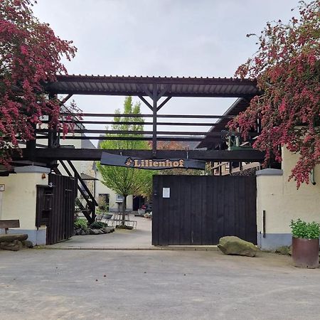 Schoene Wohnung Kleiner Onkel Auf Idyllischem Reiterhof Nahe Burg Eltz Munstermaifeld Bagian luar foto